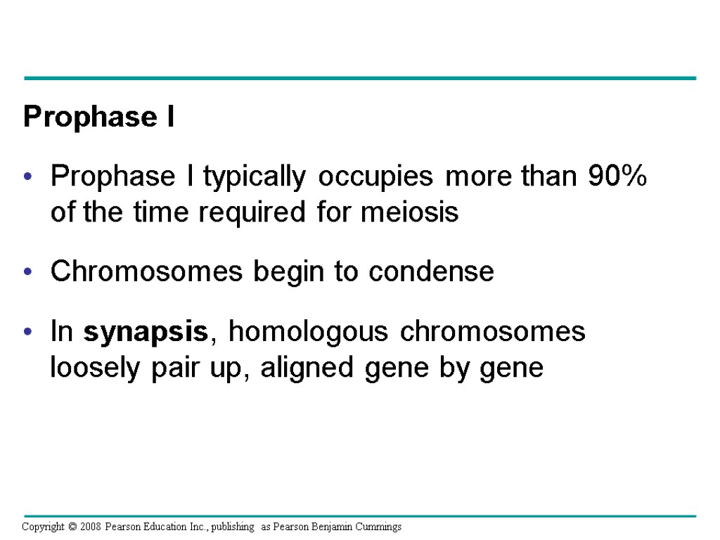 Prophase I Prophase I typically occupies more than 90% of the time required for